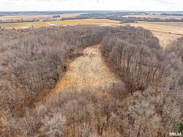 $840,000 | 0 Propes Road, Iuka, IL 62849