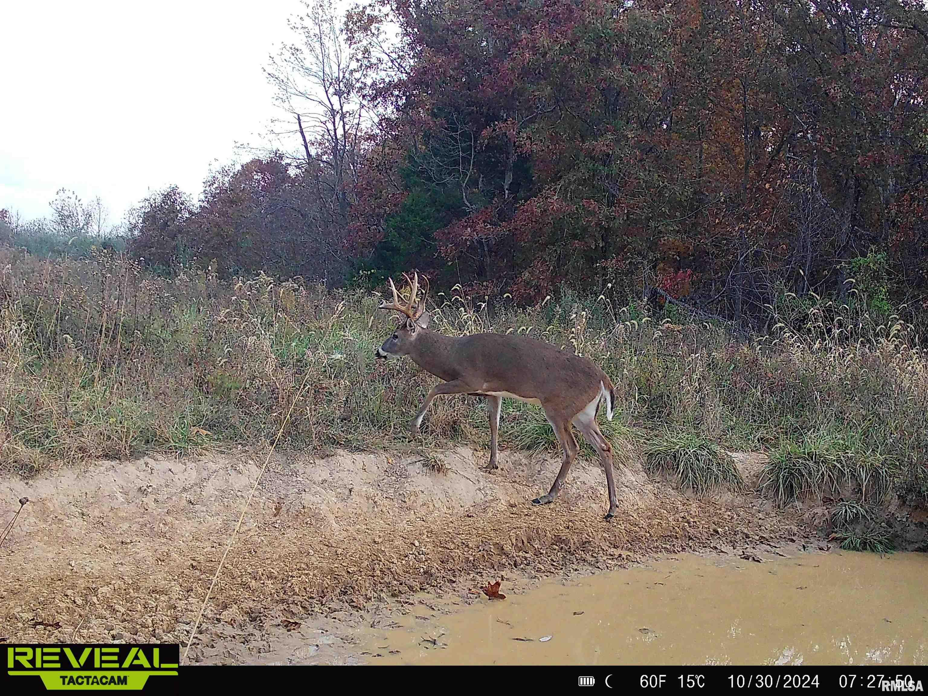 0 Propes Road Iuka, IL 62849 - Photo 71 of 100