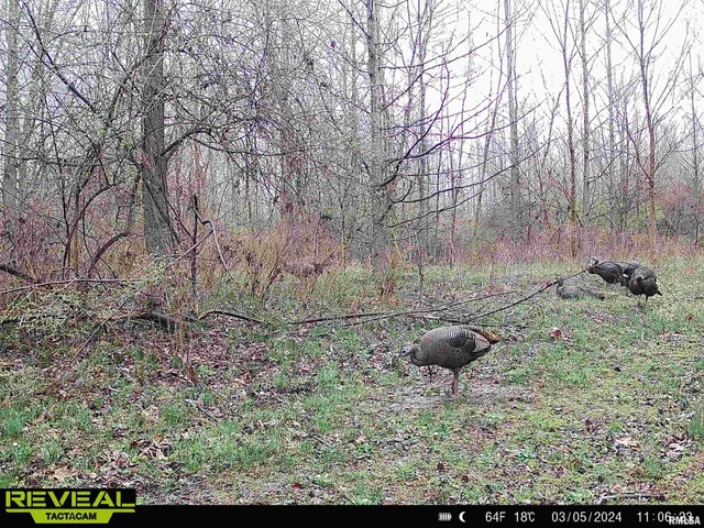 $840,000 | 0 Propes Road, Iuka, IL 62849