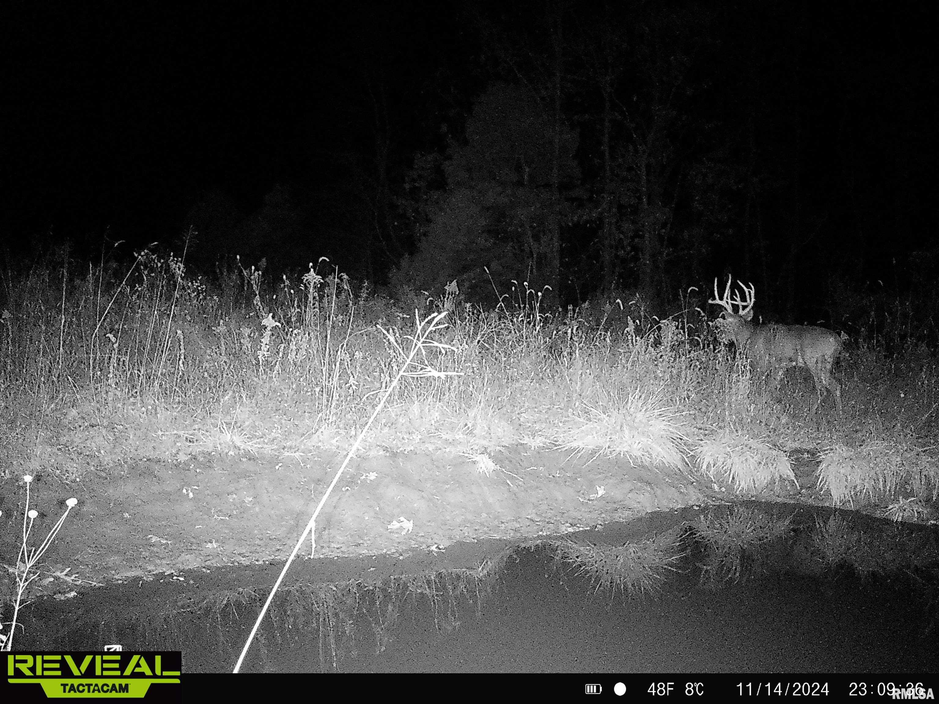 0 Propes Road Iuka, IL 62849 - Photo 74 of 100