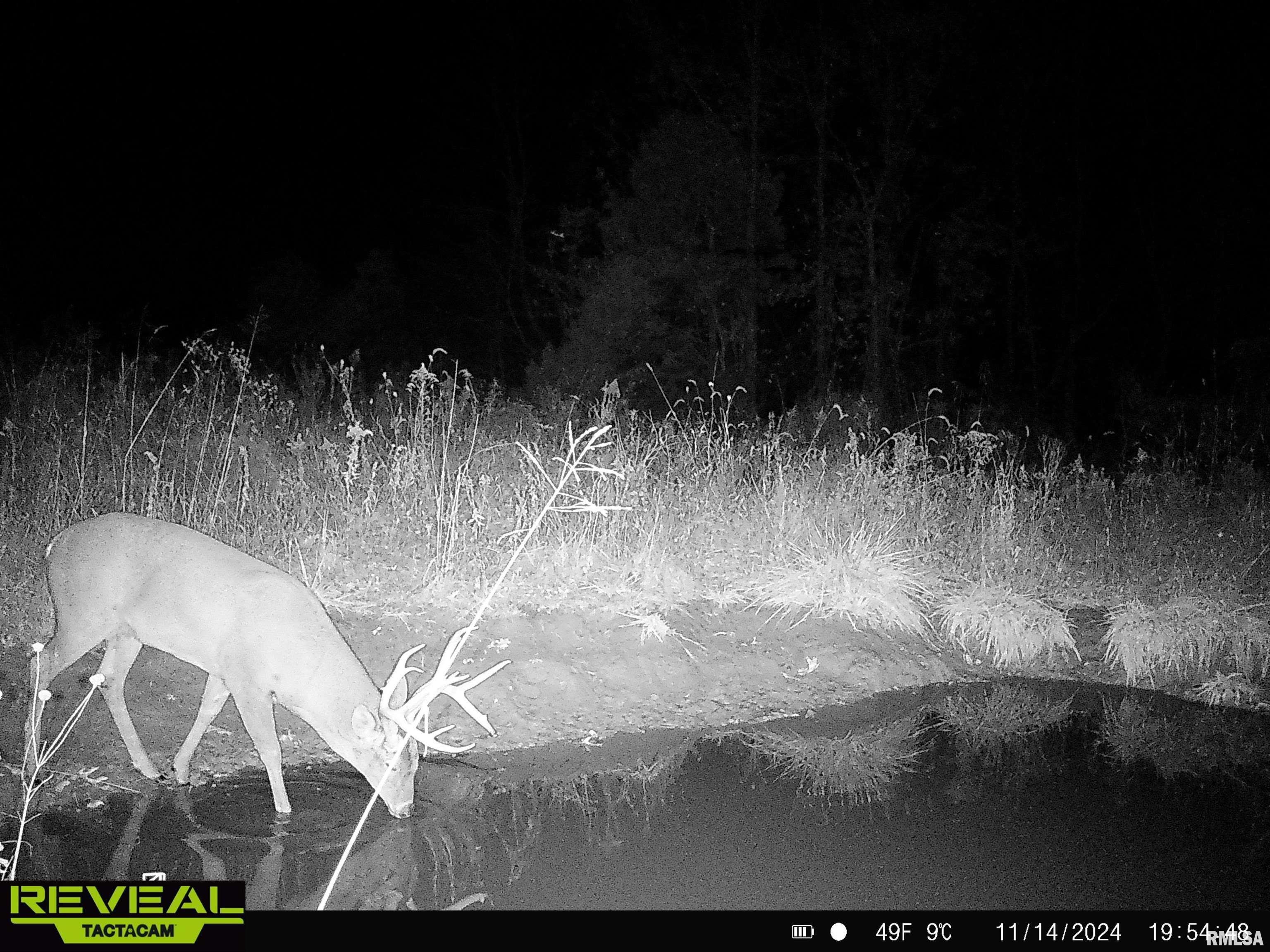 0 Propes Road Iuka, IL 62849 - Photo 75 of 100