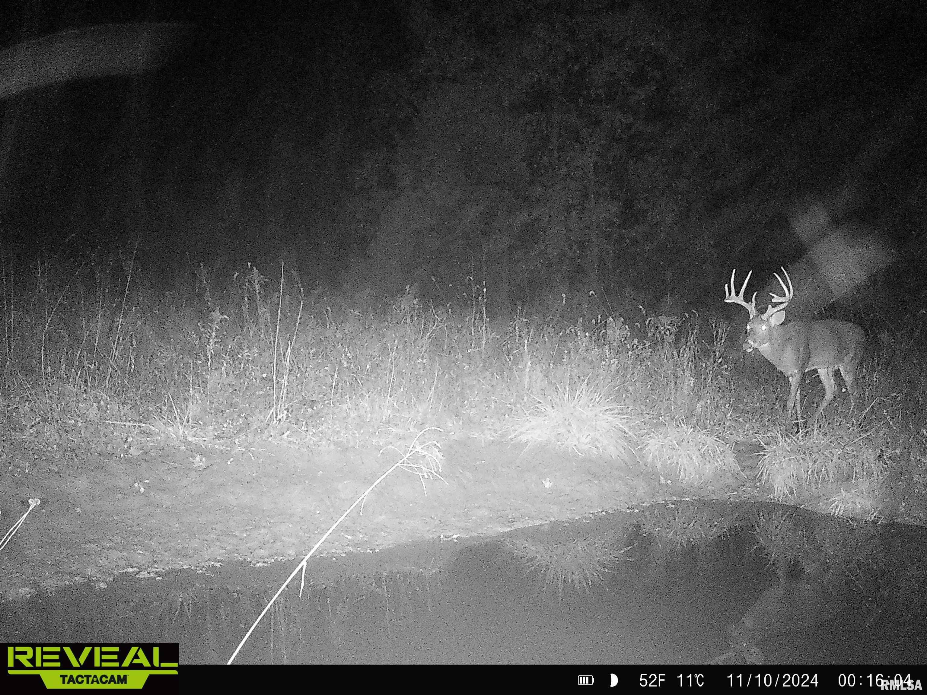 0 Propes Road Iuka, IL 62849 - Photo 76 of 100