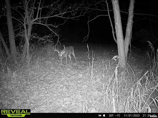 $840,000 | 0 Propes Road, Iuka, IL 62849