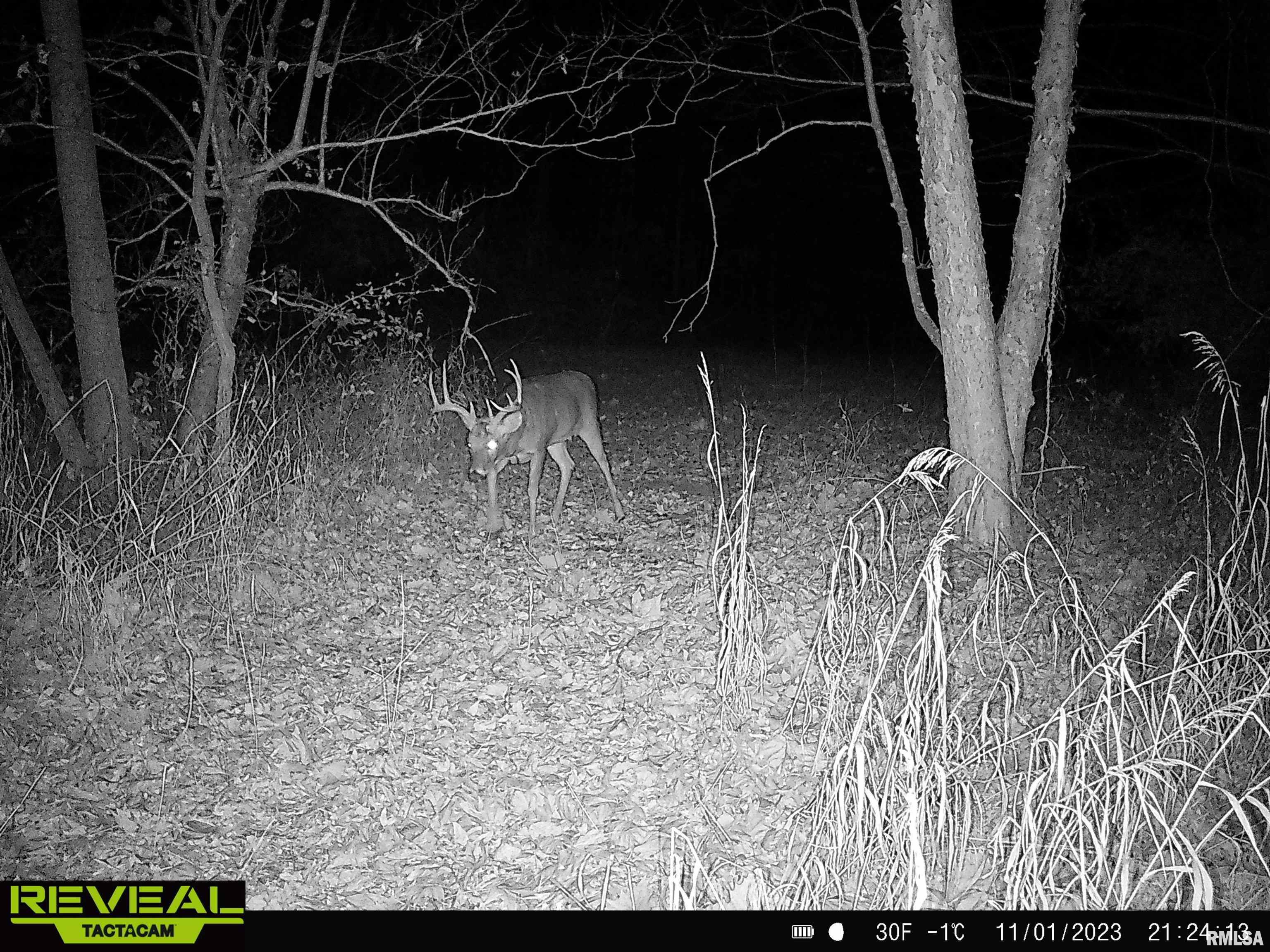 0 Propes Road Iuka, IL 62849 - Photo 77 of 100