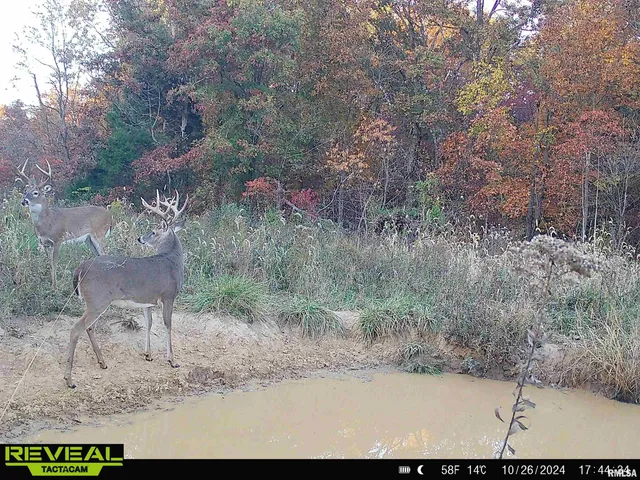 $840,000 | 0 Propes Road, Iuka, IL 62849