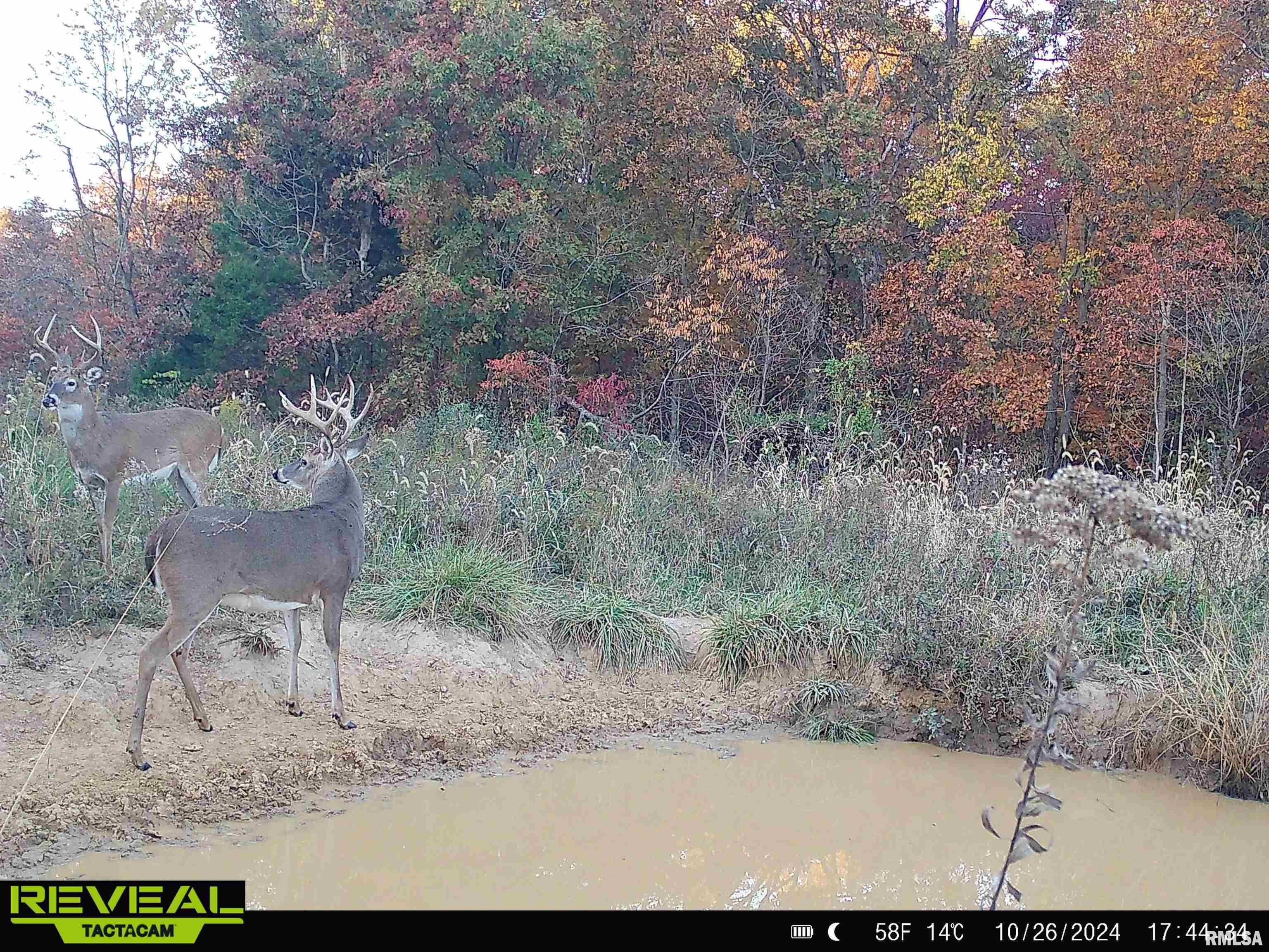 0 Propes Road Iuka, IL 62849 - Photo 78 of 100