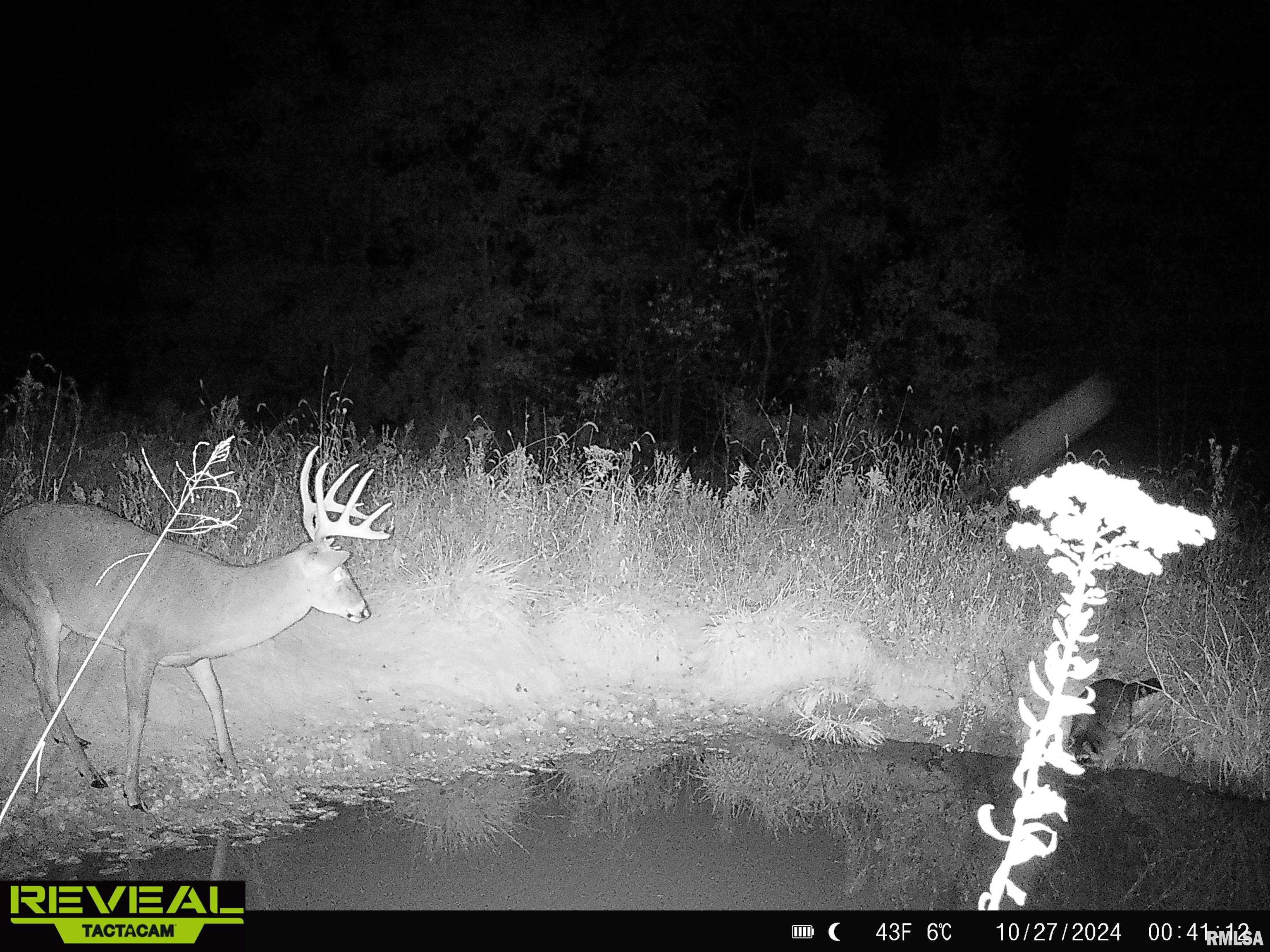 0 Propes Road Iuka, IL 62849 - Photo 79 of 100