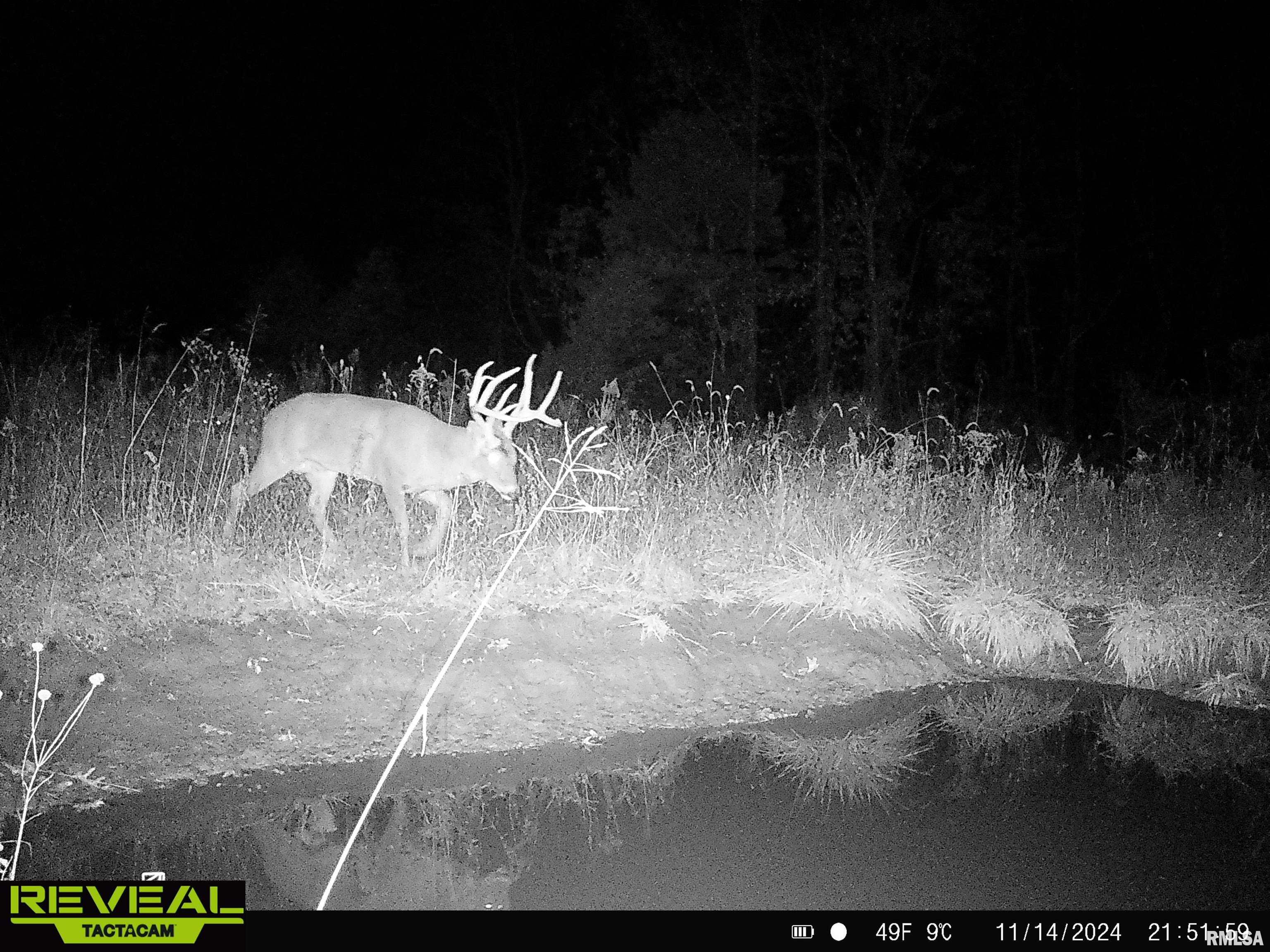 0 Propes Road Iuka, IL 62849 - Photo 80 of 100