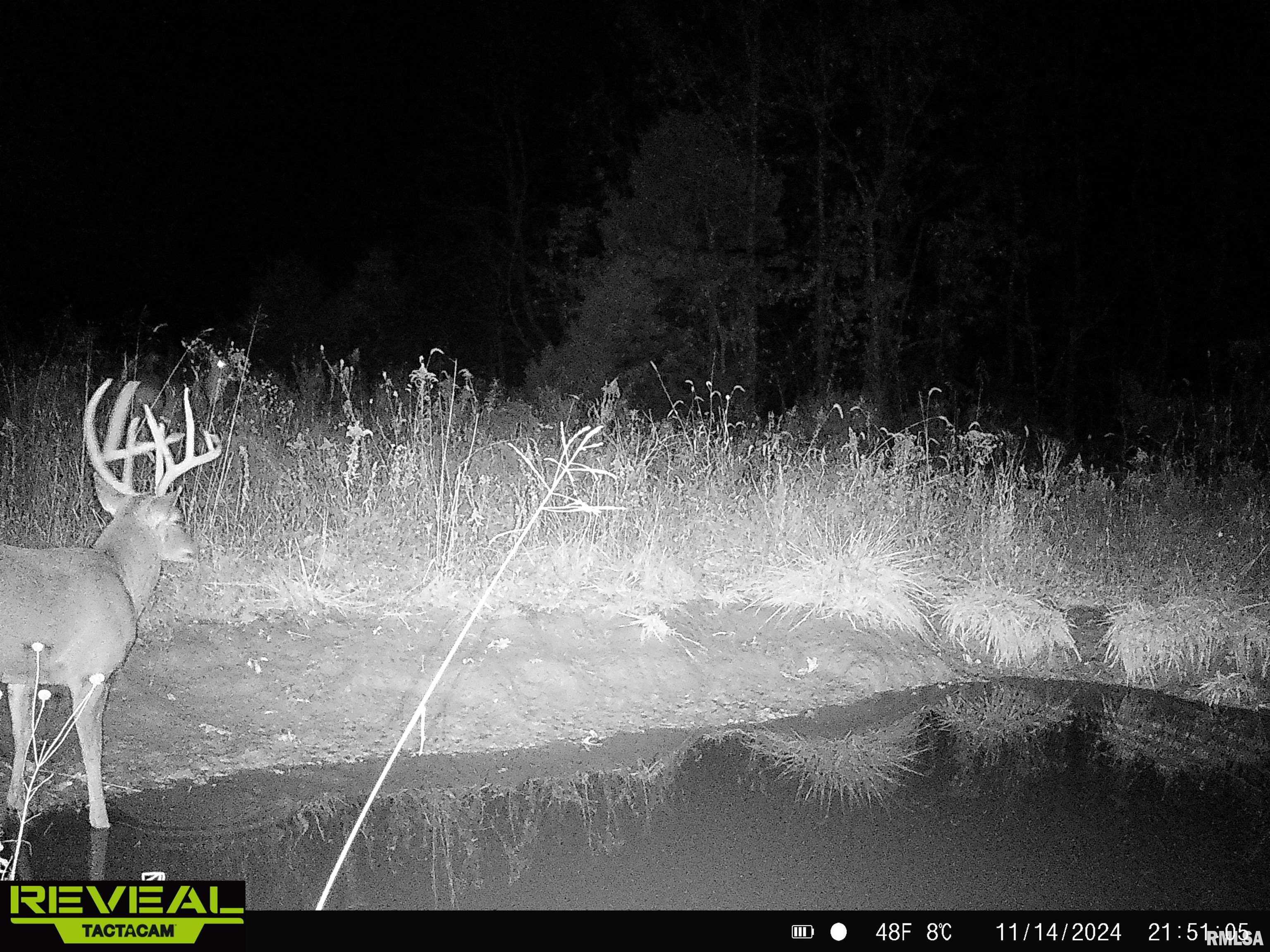 0 Propes Road Iuka, IL 62849 - Photo 81 of 100