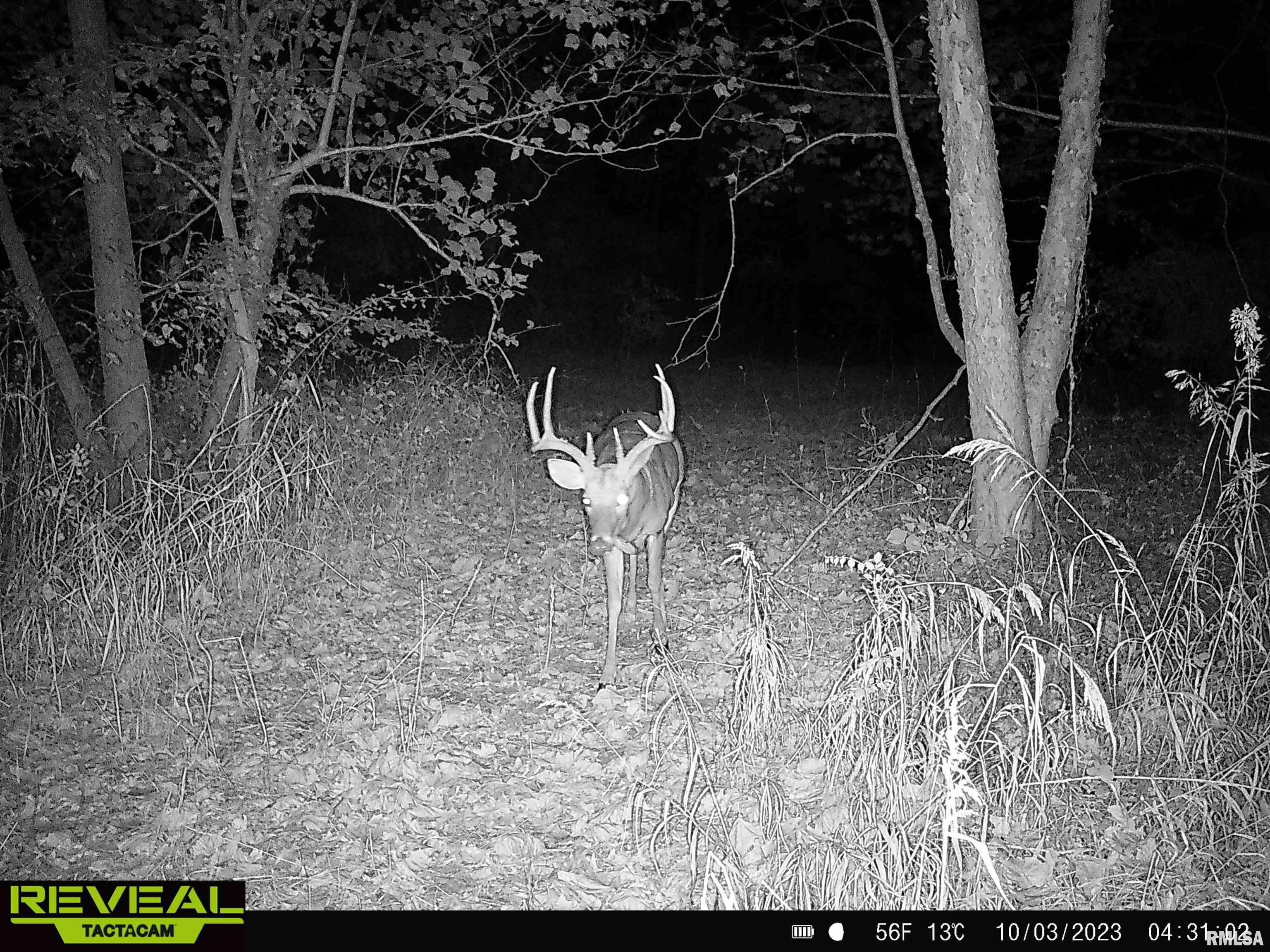 0 Propes Road Iuka, IL 62849 - Photo 82 of 100