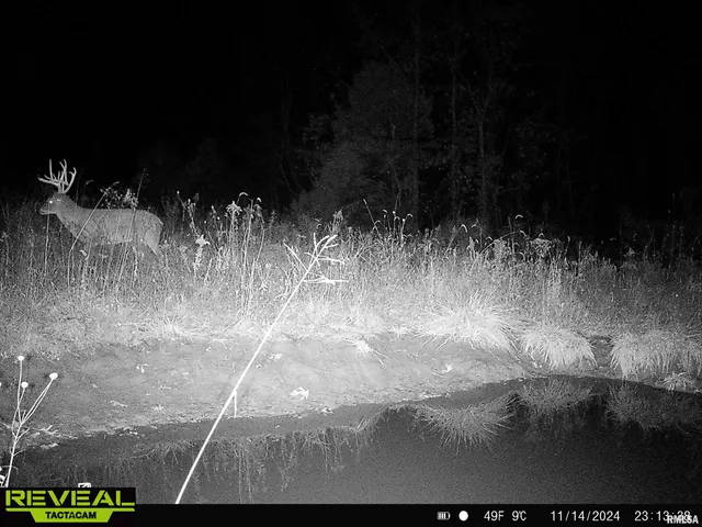 $840,000 | 0 Propes Road, Iuka, IL 62849