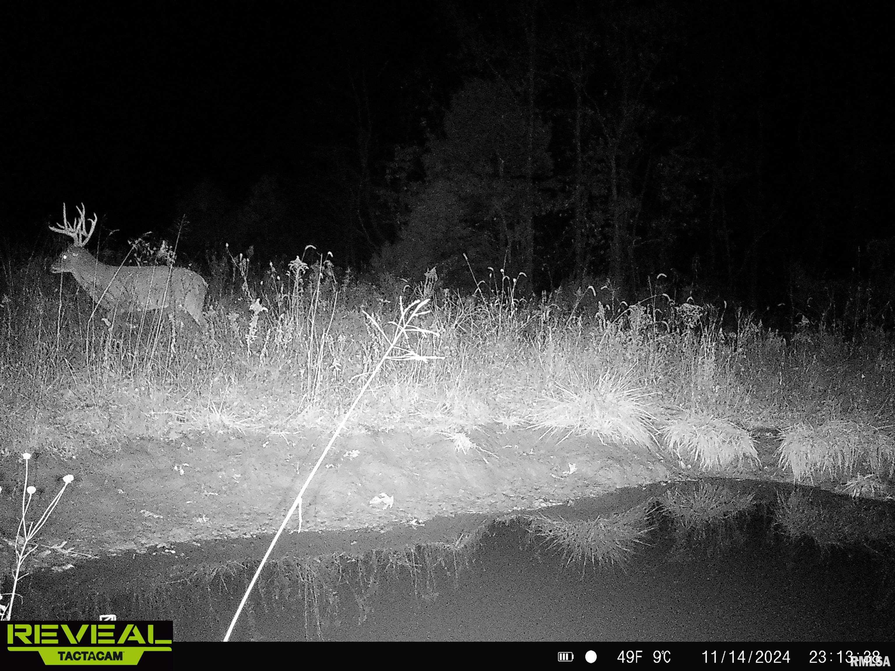 0 Propes Road Iuka, IL 62849 - Photo 83 of 100