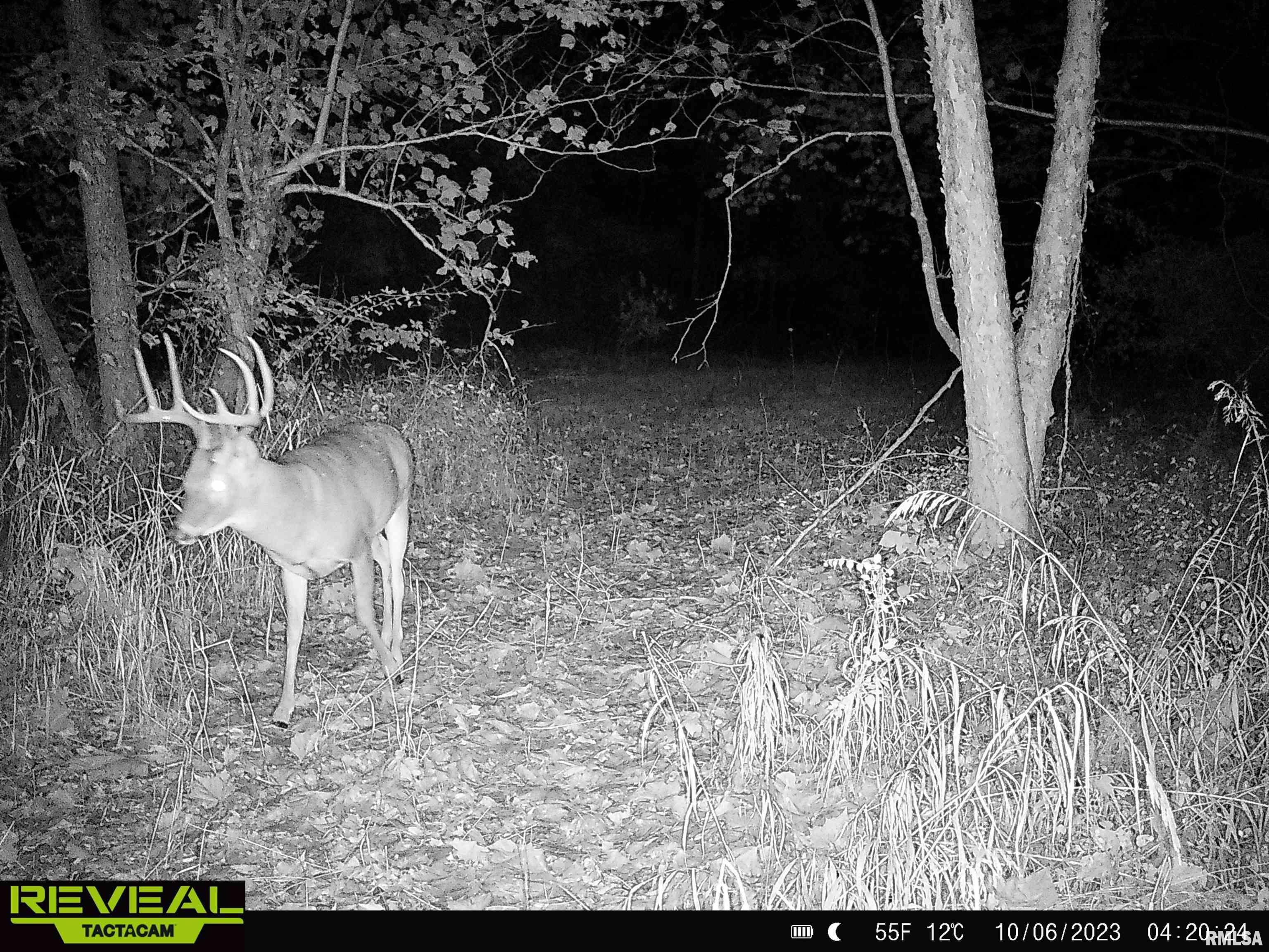 0 Propes Road Iuka, IL 62849 - Photo 84 of 100