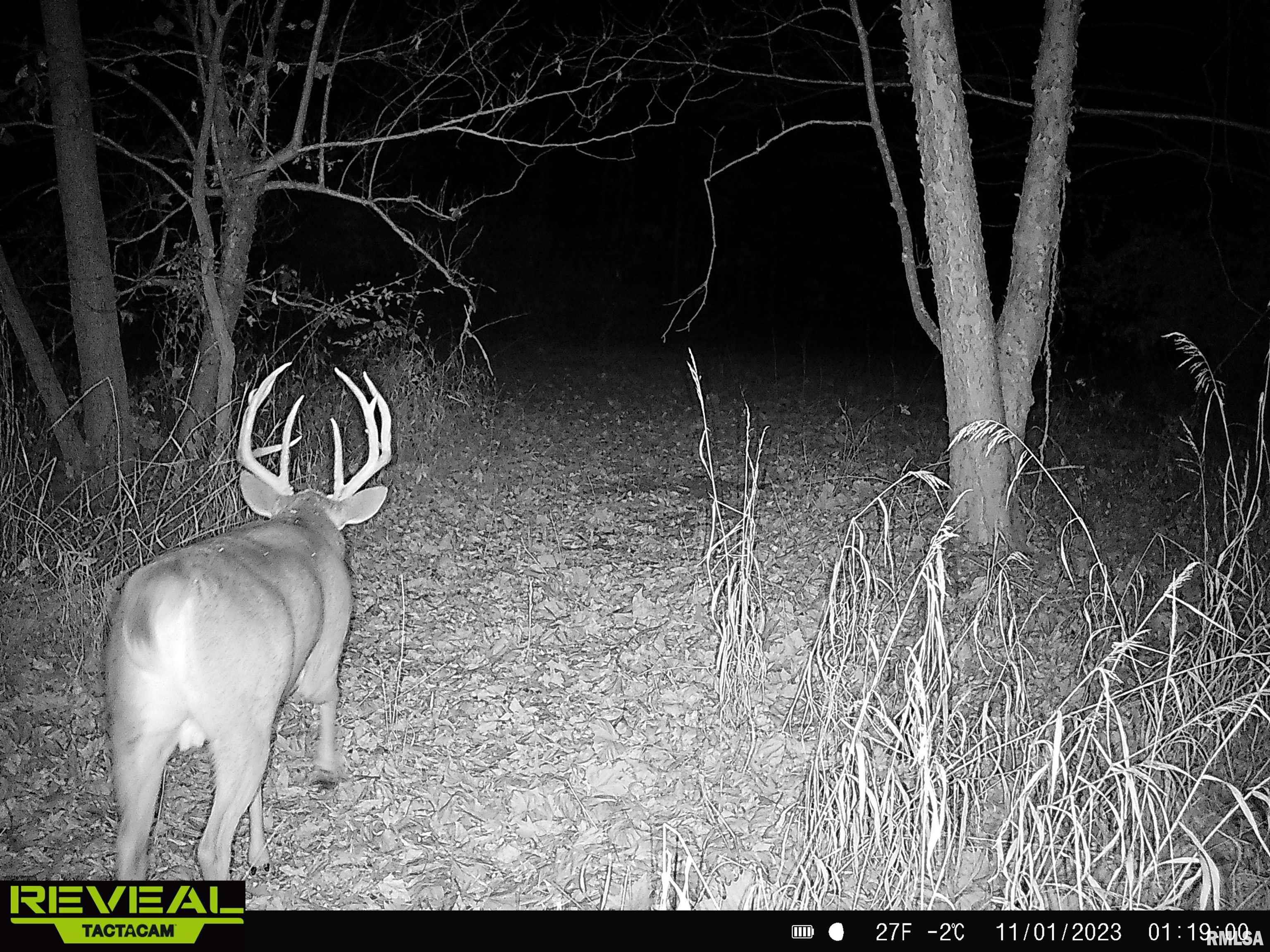 0 Propes Road Iuka, IL 62849 - Photo 85 of 100