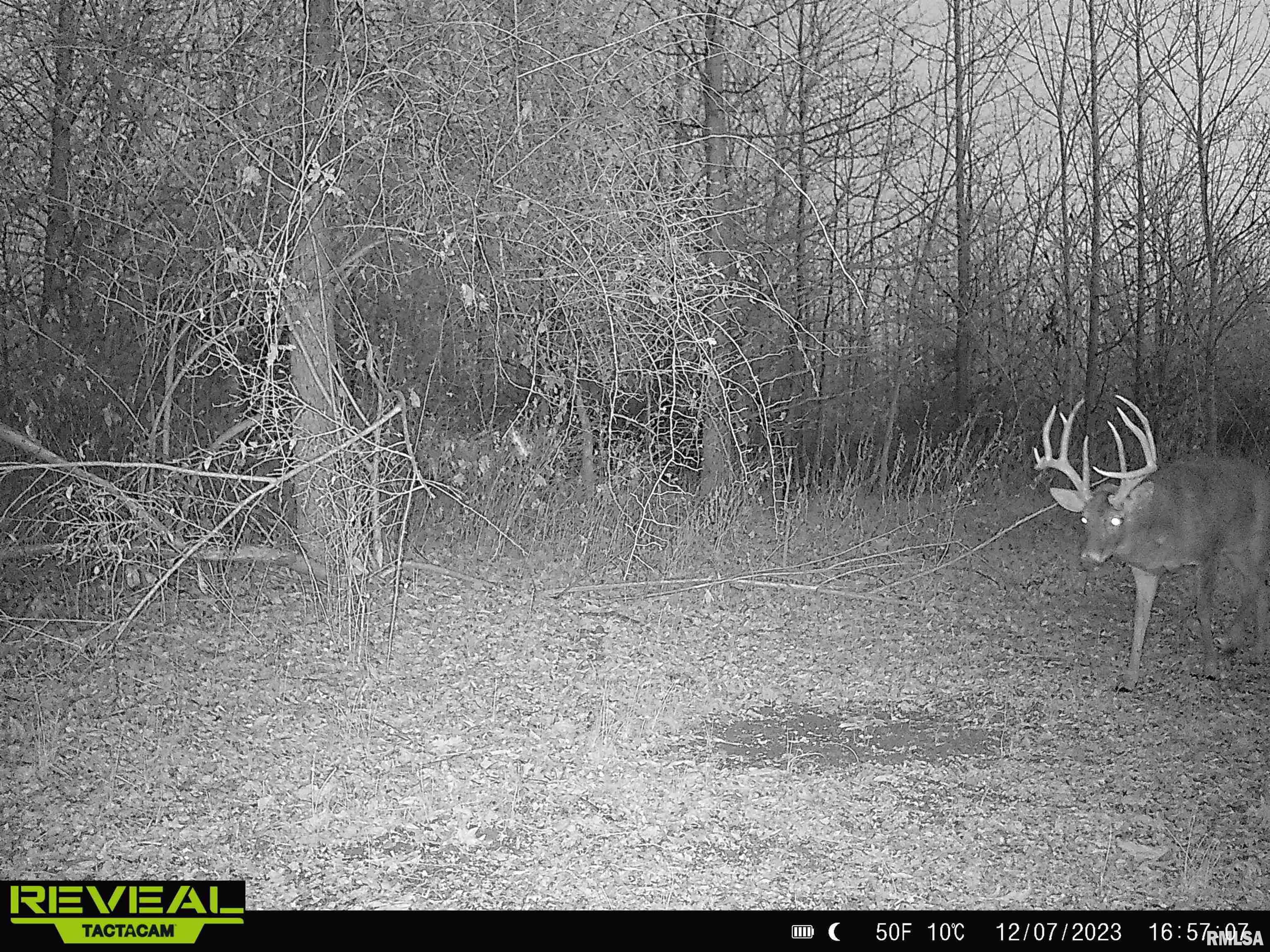 0 Propes Road Iuka, IL 62849 - Photo 86 of 100