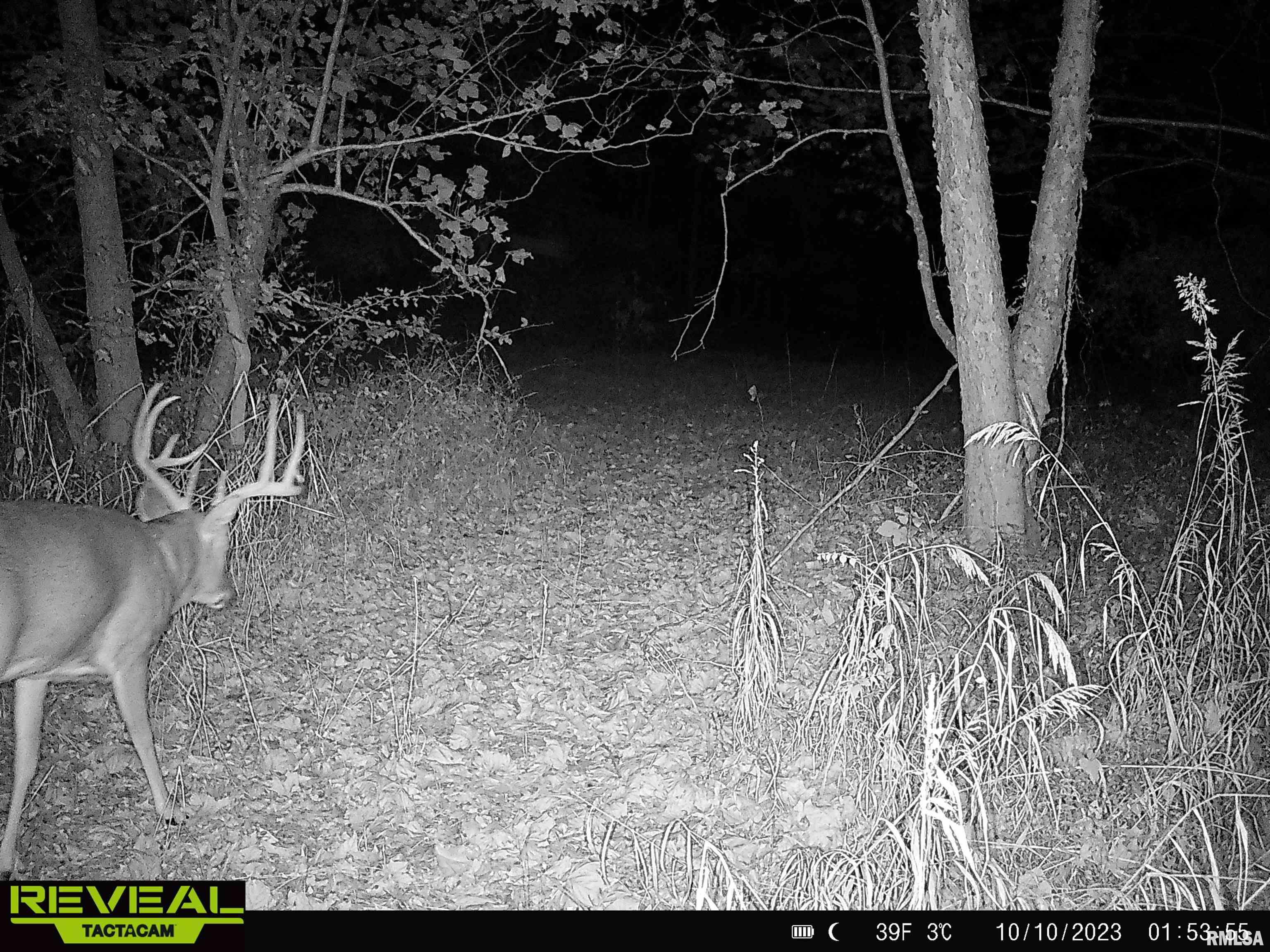 0 Propes Road Iuka, IL 62849 - Photo 87 of 100