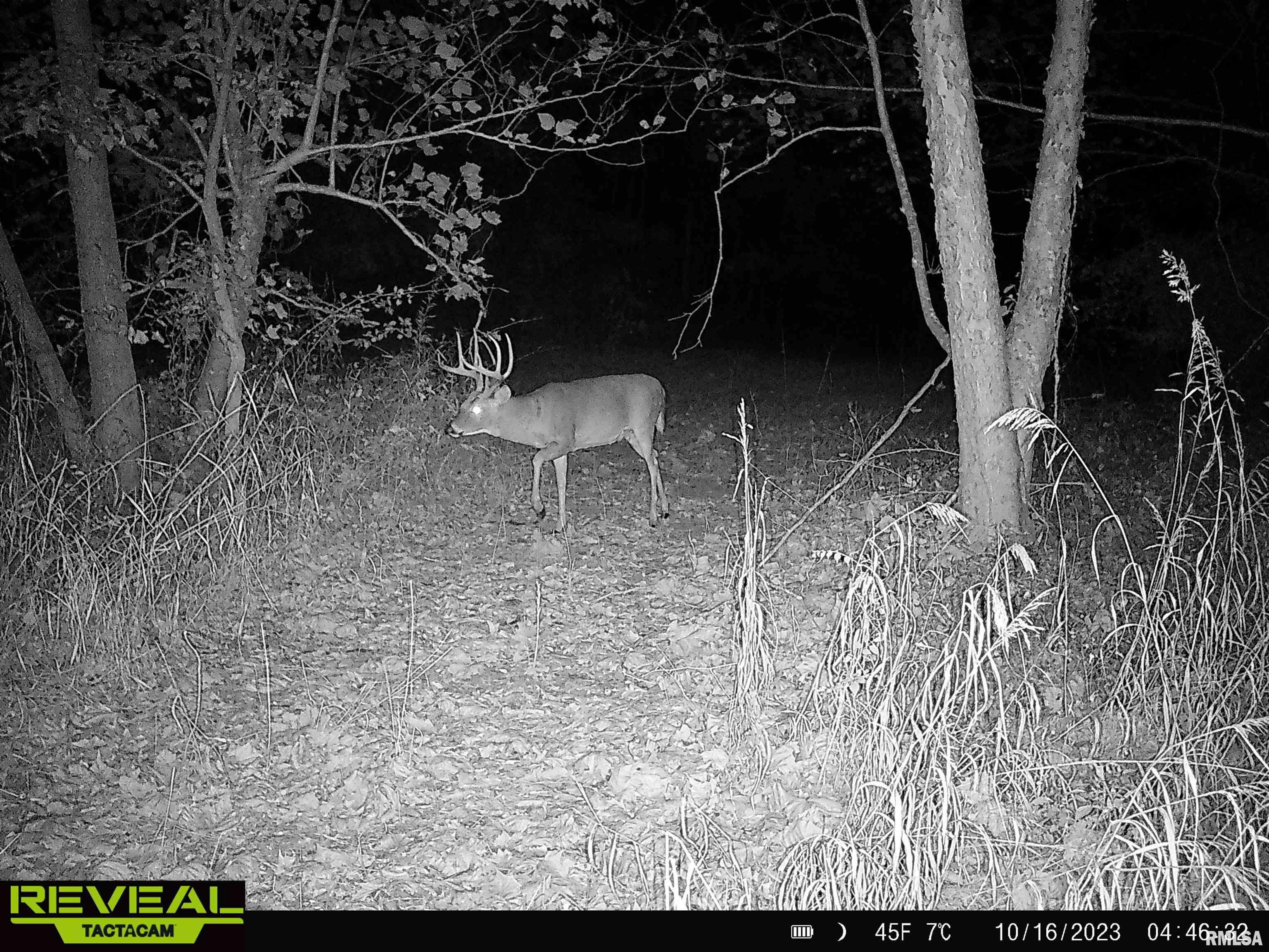 0 Propes Road Iuka, IL 62849 - Photo 88 of 100