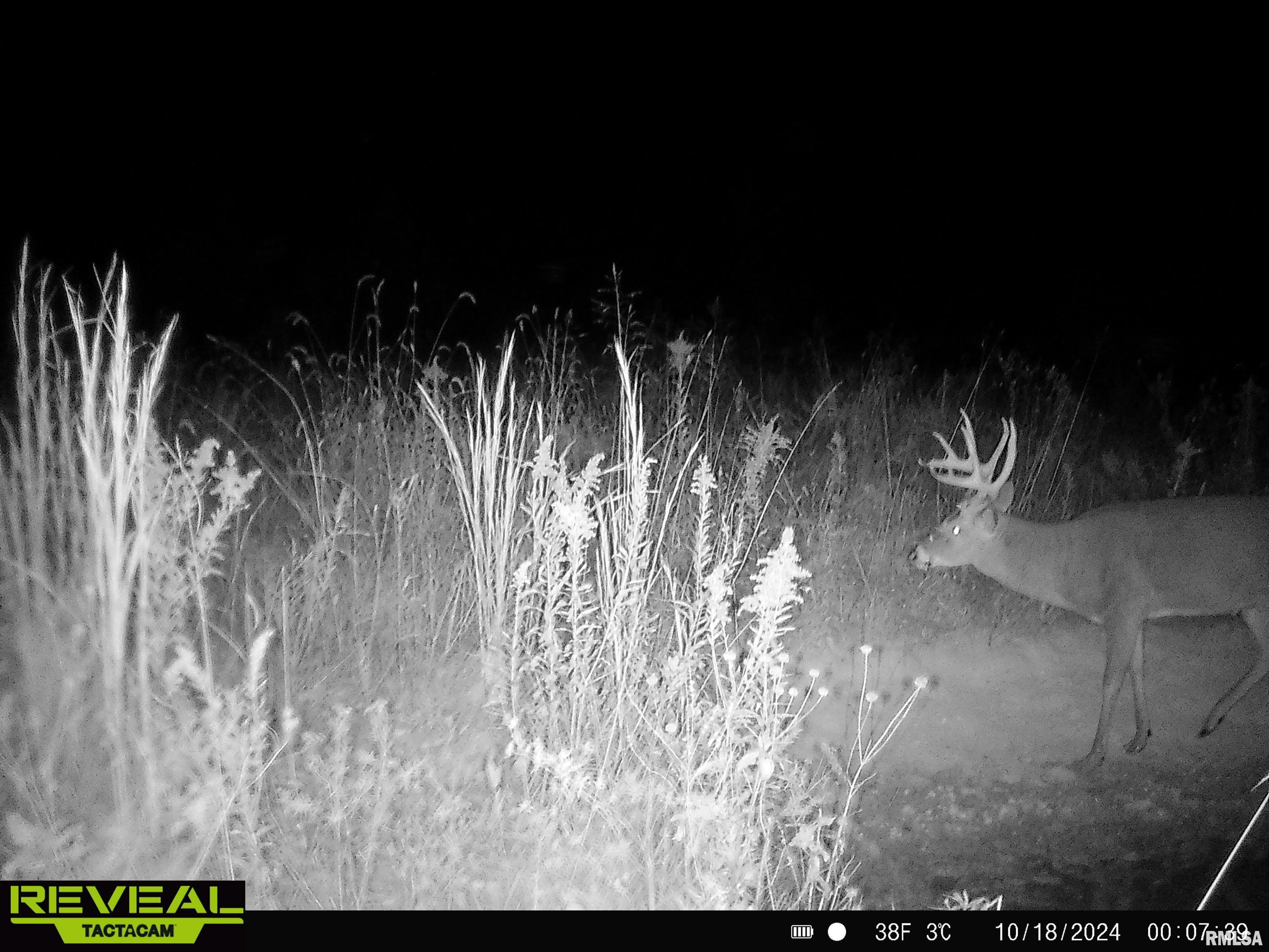 0 Propes Road Iuka, IL 62849 - Photo 89 of 100