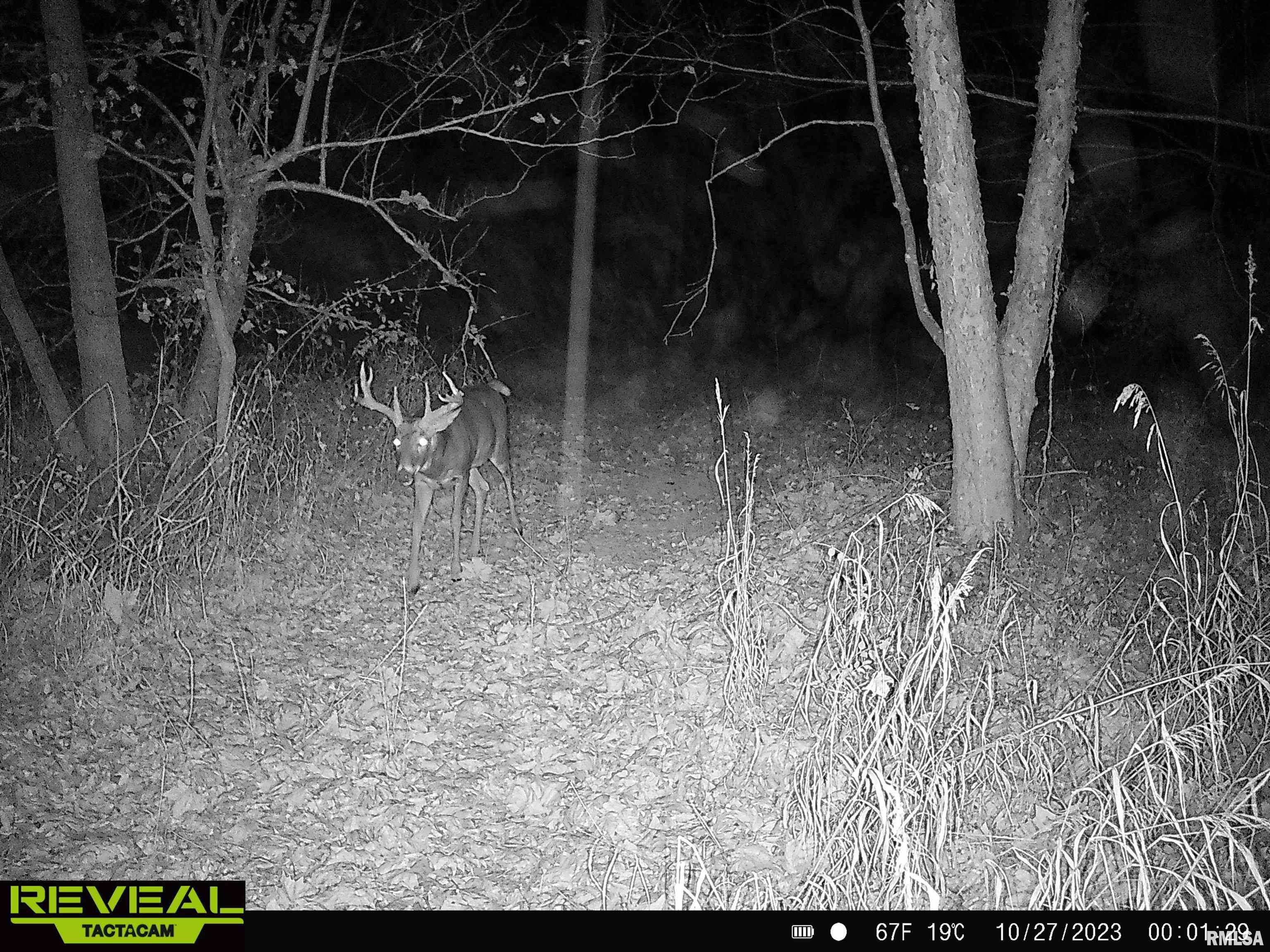 0 Propes Road Iuka, IL 62849 - Photo 90 of 100