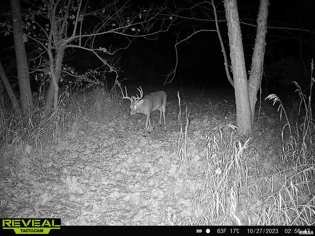 $840,000 | 0 Propes Road, Iuka, IL 62849