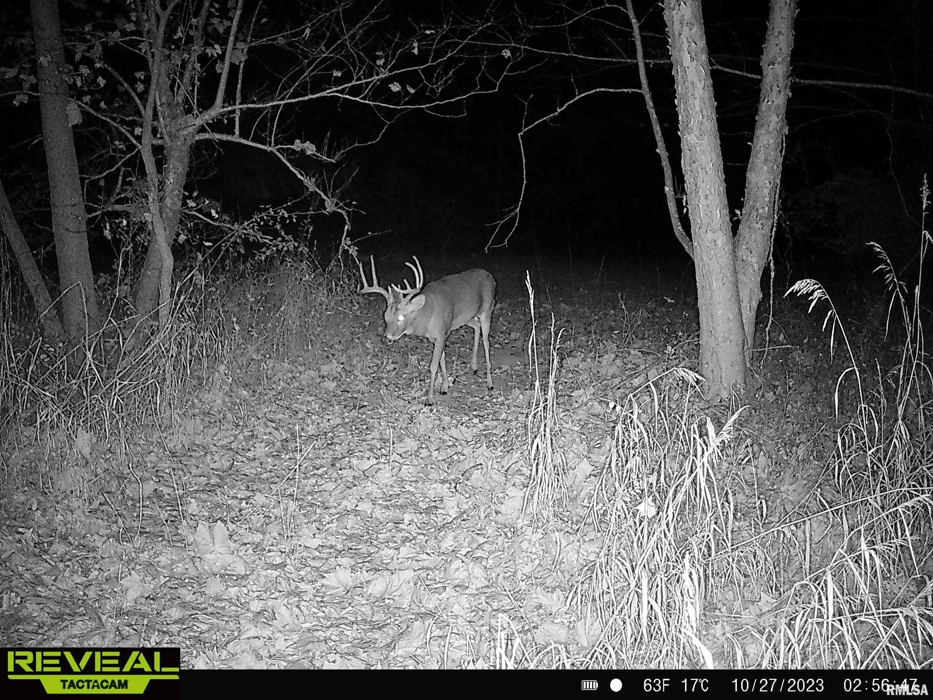 0 Propes Road Iuka, IL 62849 - Photo 92 of 100