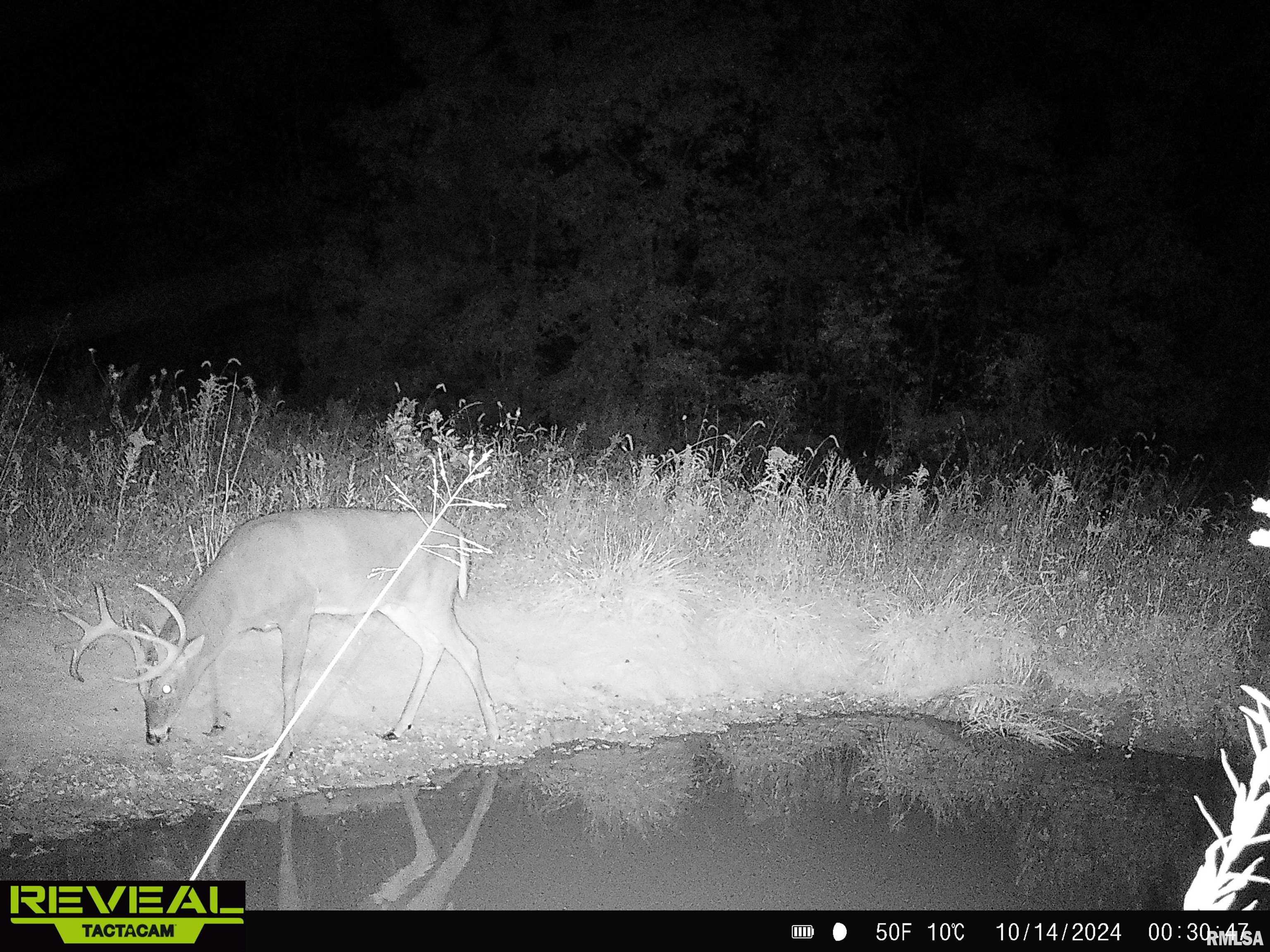 0 Propes Road Iuka, IL 62849 - Photo 93 of 100