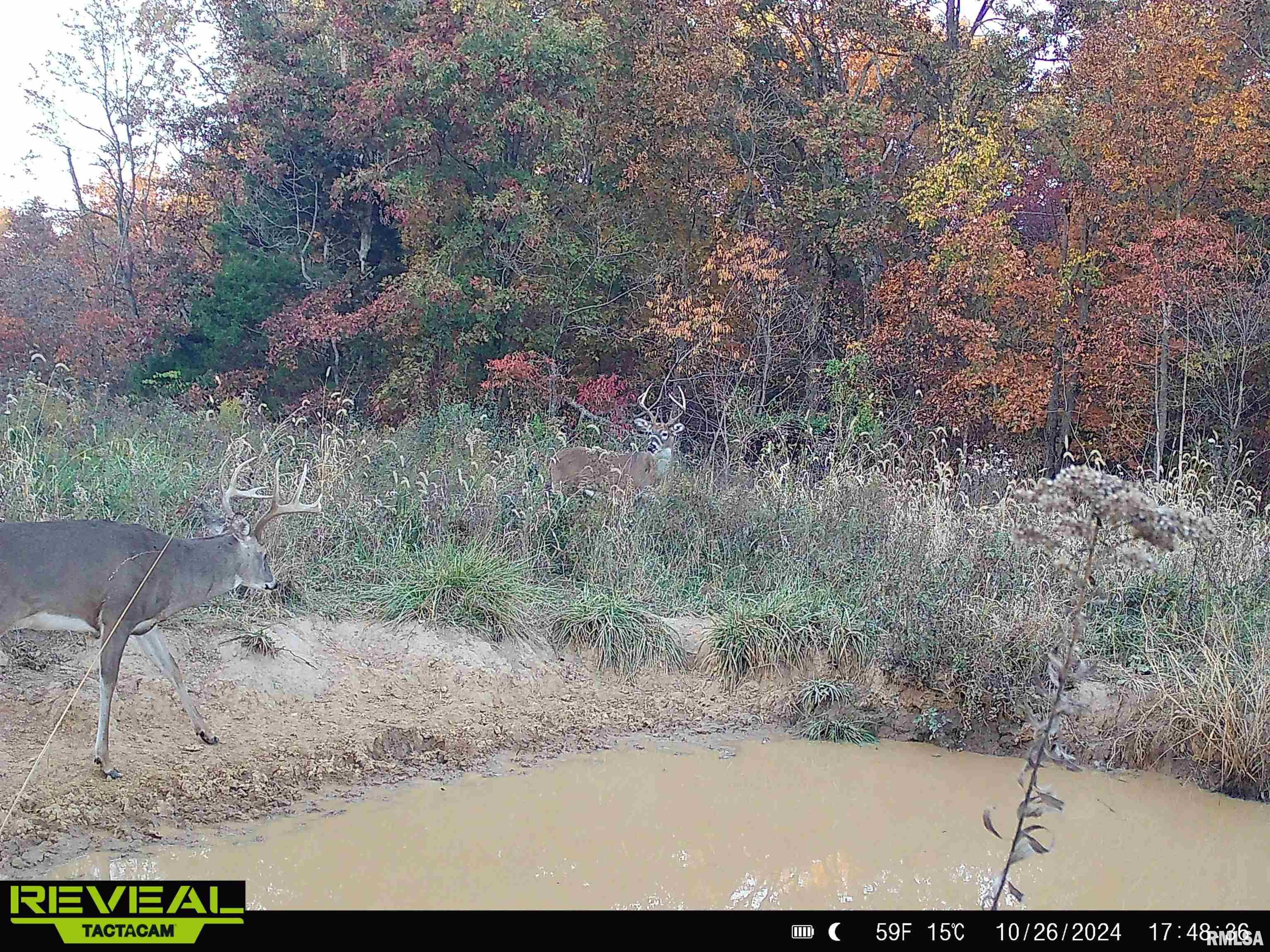 0 Propes Road Iuka, IL 62849 - Photo 94 of 100