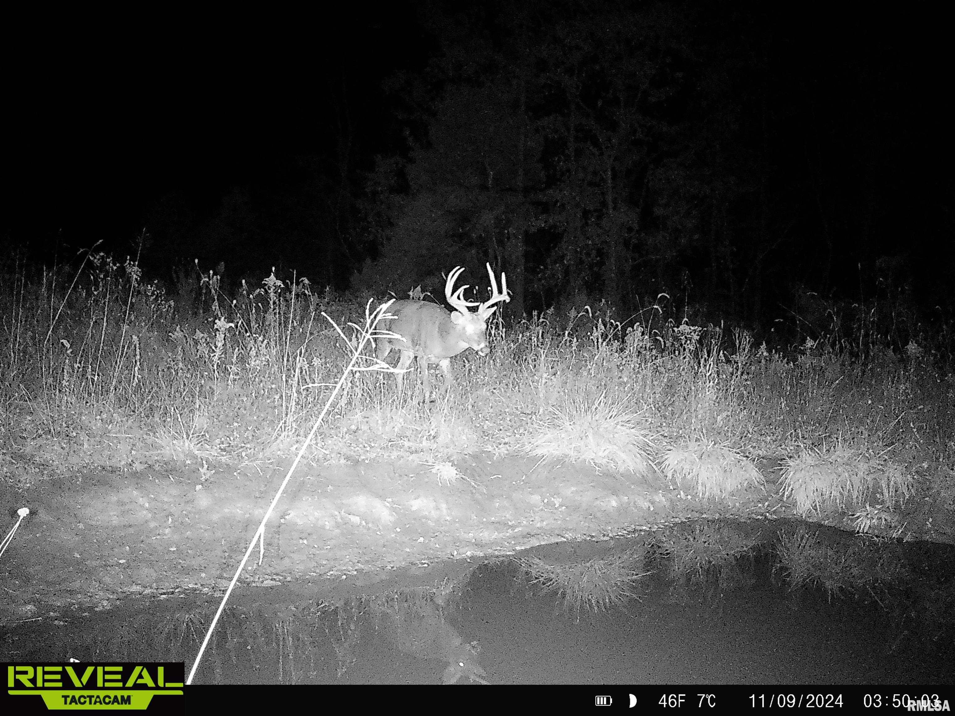 0 Propes Road Iuka, IL 62849 - Photo 95 of 100