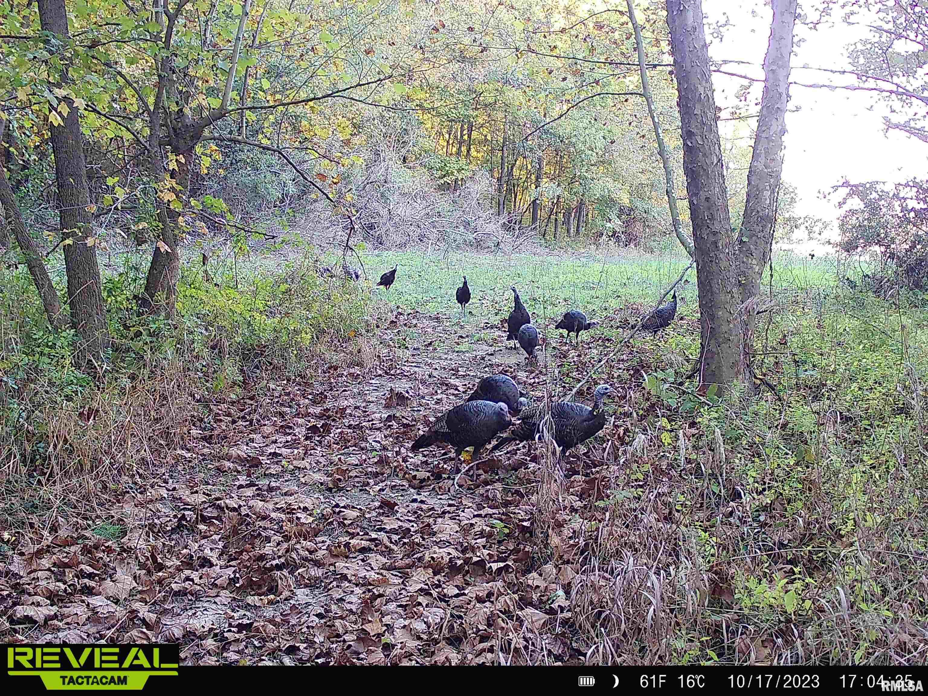 0 Propes Road Iuka, IL 62849 - Photo 96 of 100