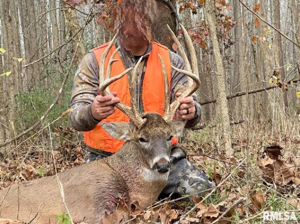 0 Propes Road Iuka, IL 62849 - Photo 97 of 100