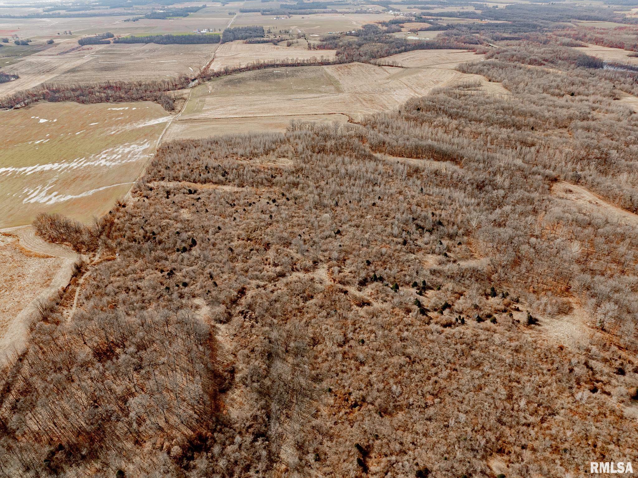 0 Propes Road Iuka, IL 62849 - Photo 10 of 100