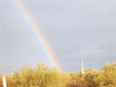 0 Desert Peak Road Marana, AZ 85653 - Photo 1 of 1