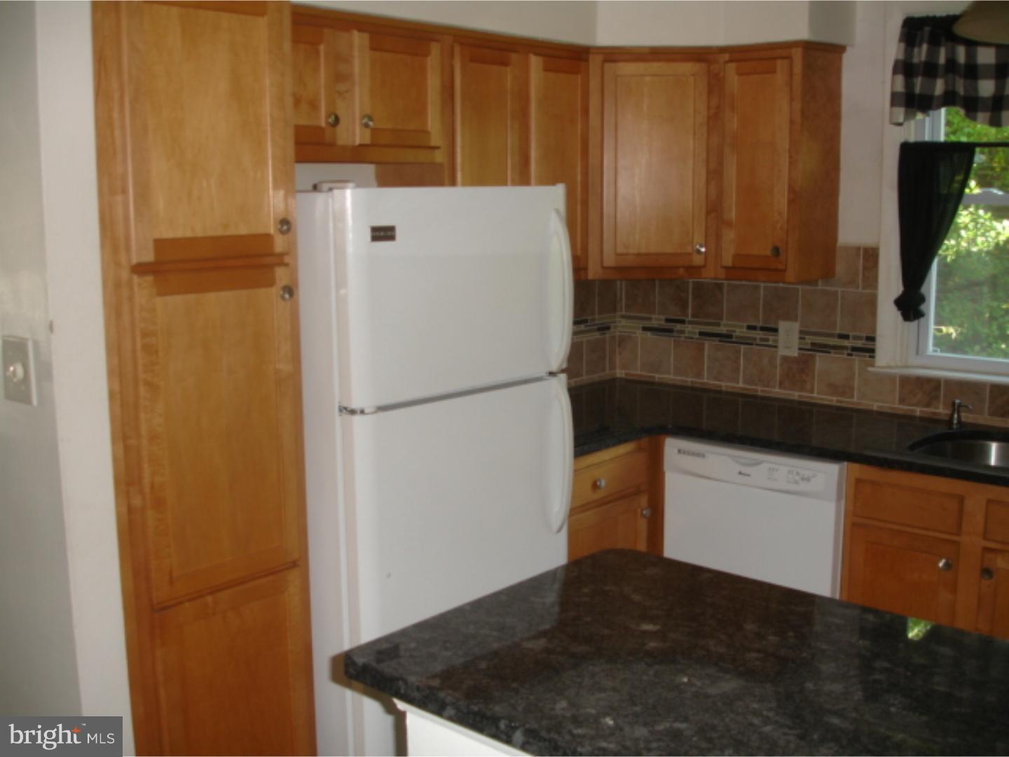 611 Wanamaker Road Jenkintown, PA 19046 - Photo 6 of 17 Kitchen