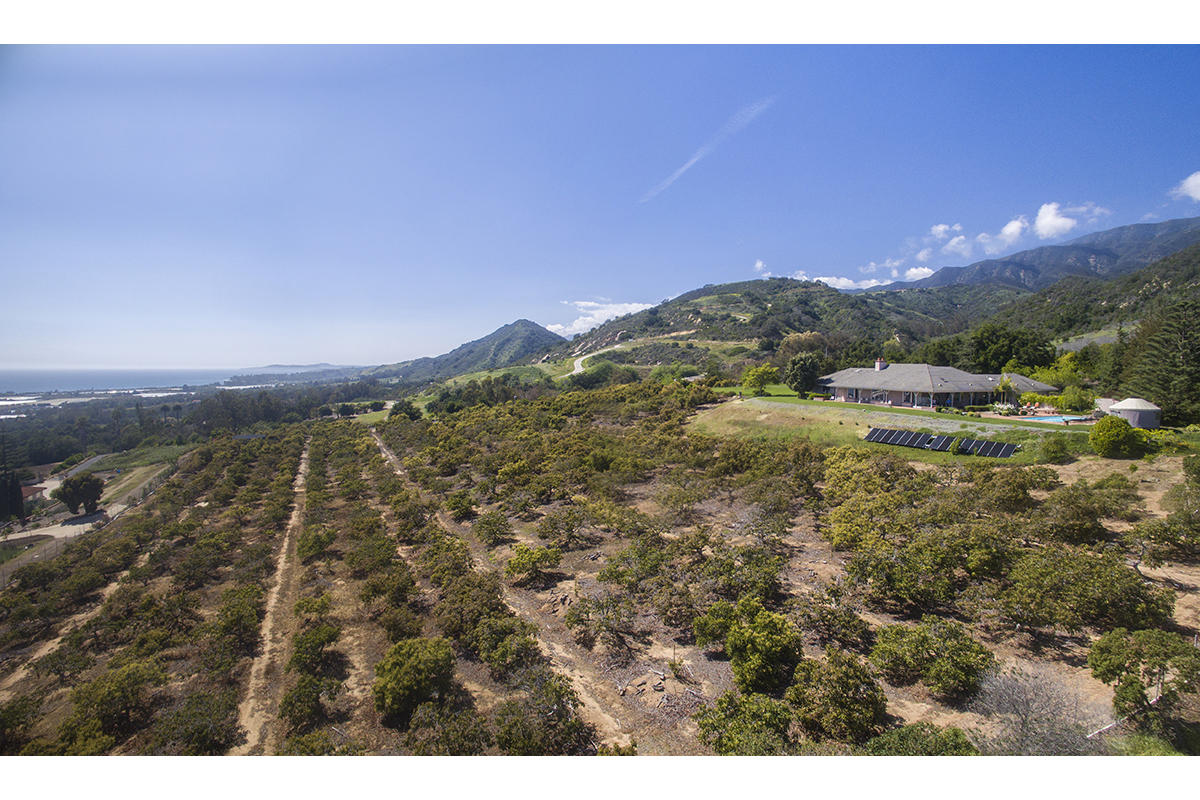 4420 Foothill Road Carpinteria, CA 93013 - Photo 31 of 31 4420 Foothill Road view up coast