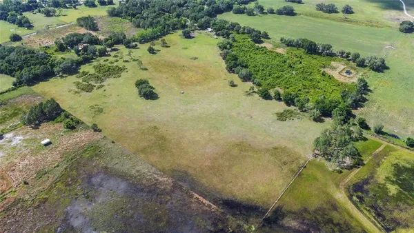 a view of a garden with plants