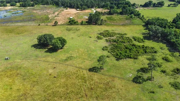 a view of a garden with a lake