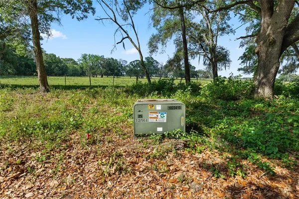 a view of a garden with a fountain