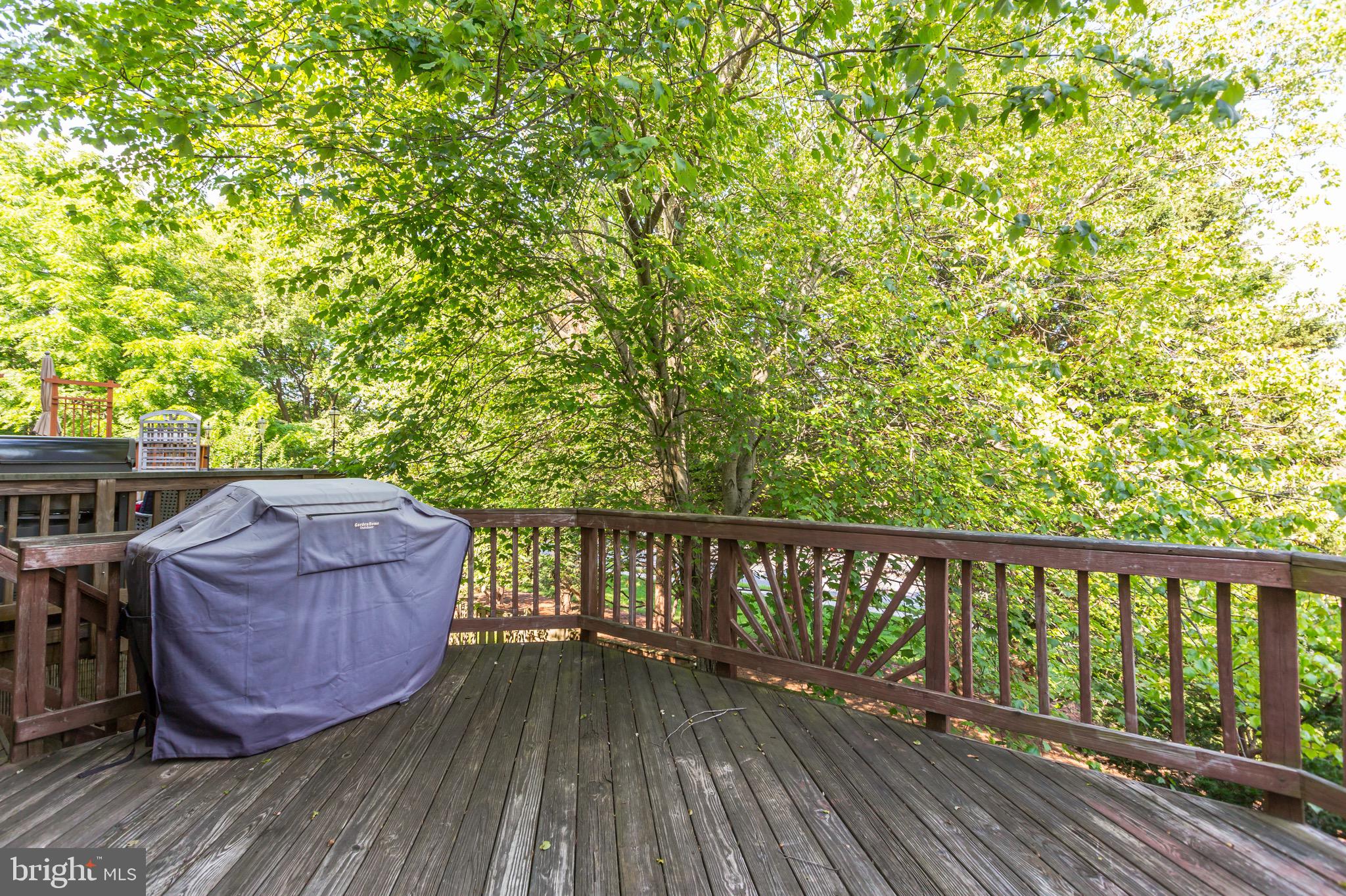 14004 Winding Ridge Lane Centreville, VA 20121 - Photo 29 of 37