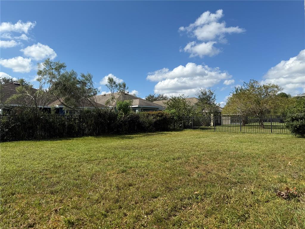 6518 Bridgecrest Drive Lithia, FL 33547 - Photo 22 of 26 a view of a big yard