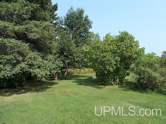 301 Carpenter Road Crystal Falls, MI 49920 - Photo 14 of 17