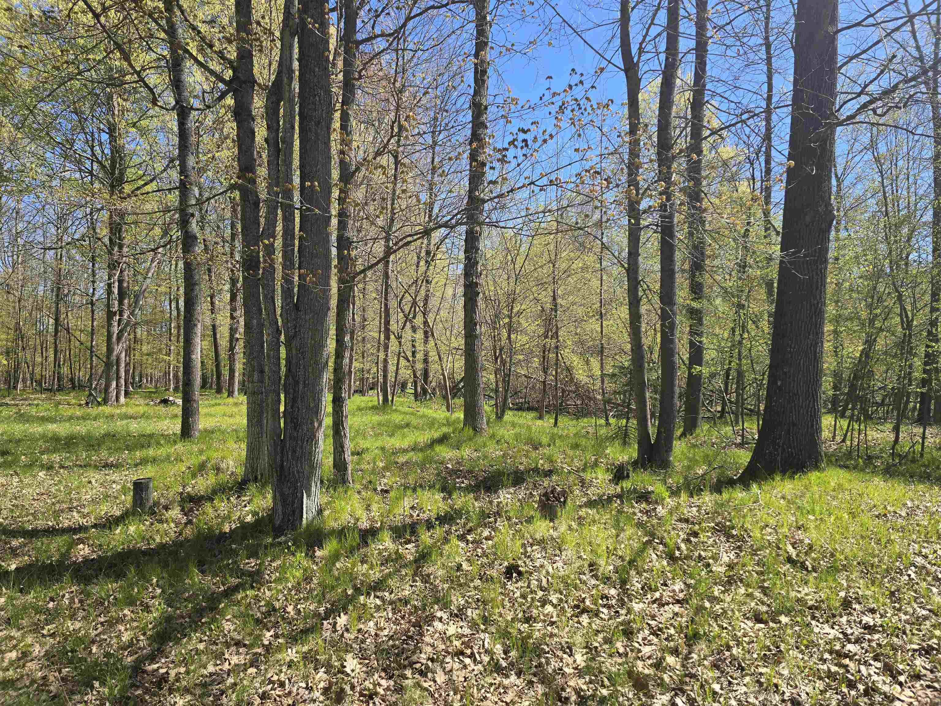 10096 Grindstone Road Evart, MI 49631 - Photo 11 of 17