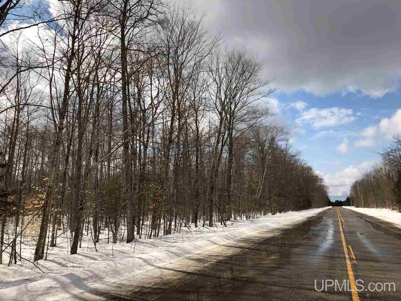 Tbd Quarry Road Gulliver, MI 49854 - Photo 4 of 4
