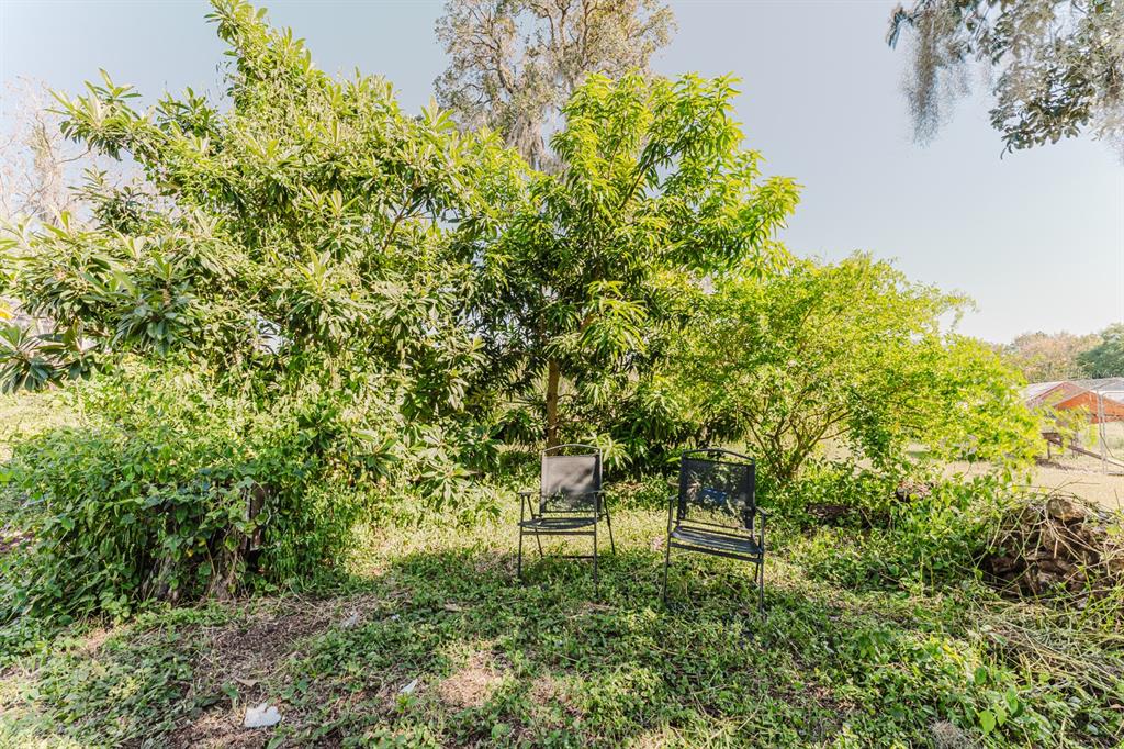 2935 Aein Road Orlando, FL 32817 - Photo 24 of 27 a balcony with lots of green space