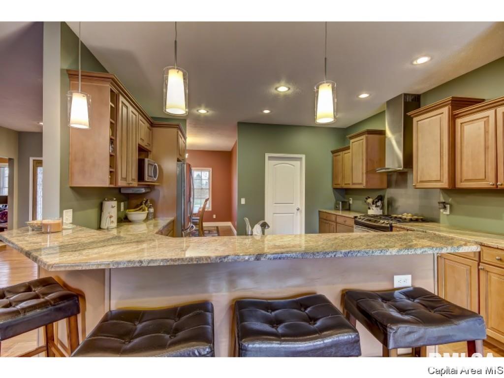 291 Bourbon Street Springfield, IL 62707 - Photo 13 of 36 Gallery Image 13
