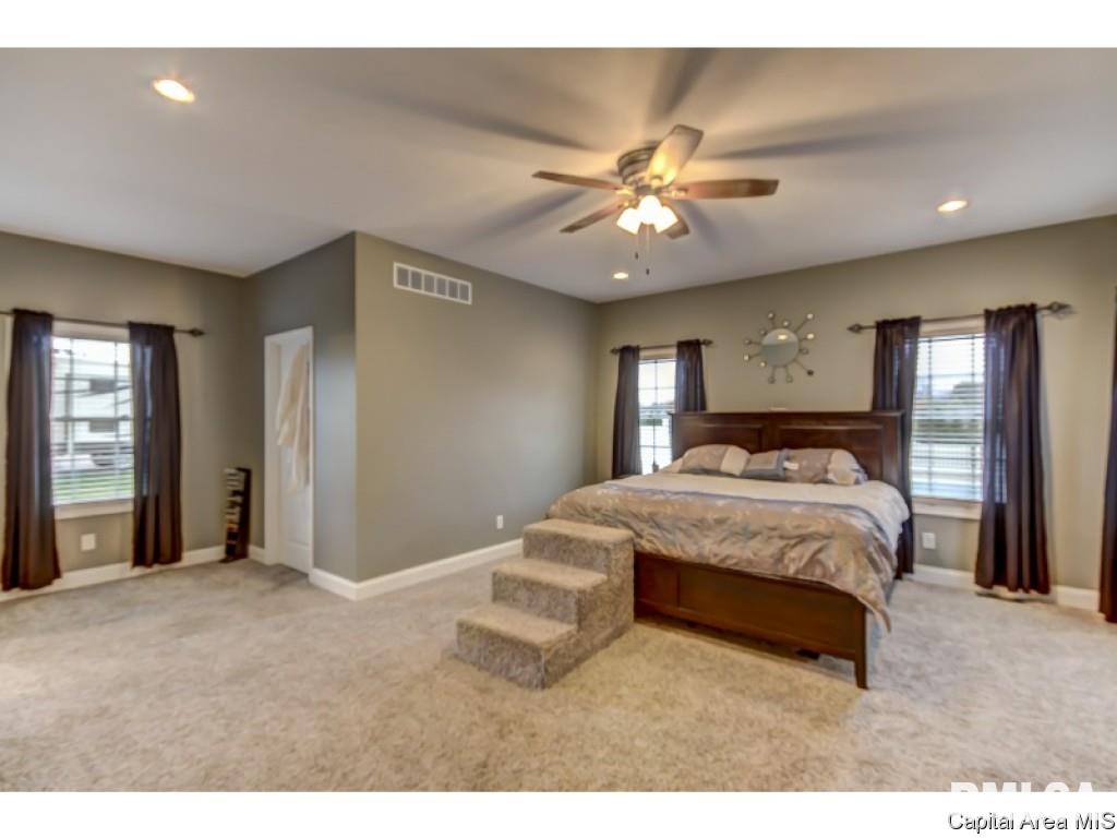 291 Bourbon Street Springfield, IL 62707 - Photo 22 of 36 Gallery Image 22