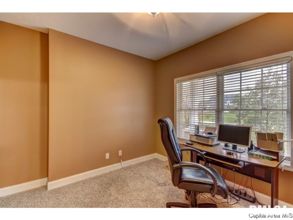 291 Bourbon Street Springfield, IL 62707 - Photo 24 of 36 Gallery Image 24
