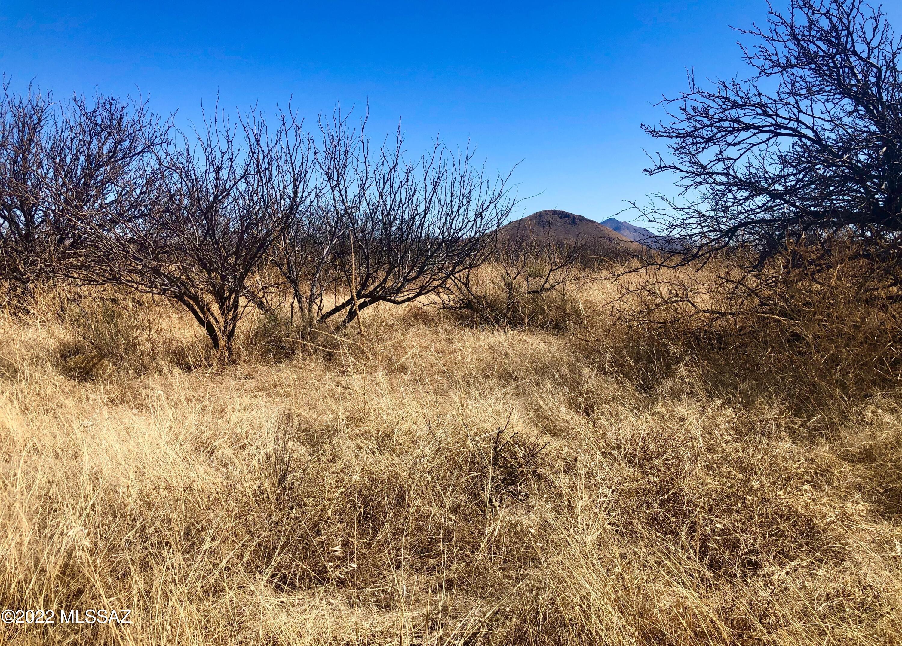 5.11-ac North Rucker Canyon Road Elfrida, AZ 85610 - Photo 11 of 50