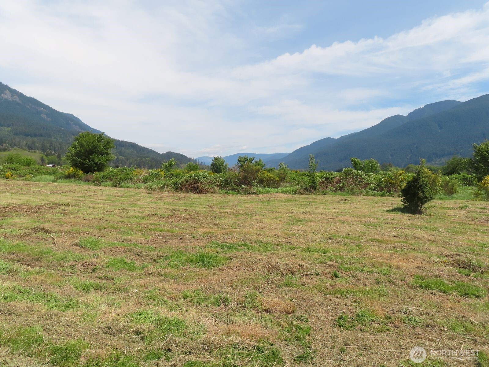 295 River Ranch Road Randle, WA 98377 - Photo 13 of 16 Gallery Image 13