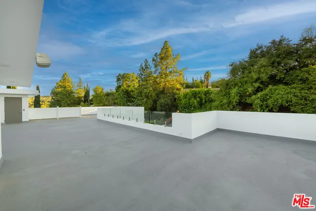 a view of a patio with couches and a potted plant on a table