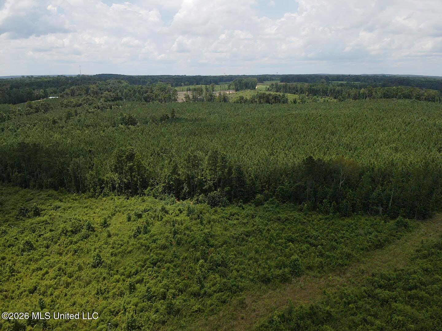 131 B County Road Morton, MS 39117 - Photo 3 of 25 2026-07-05-13-42-05-278